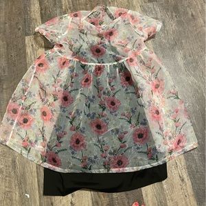 Women’s dress size 2XL